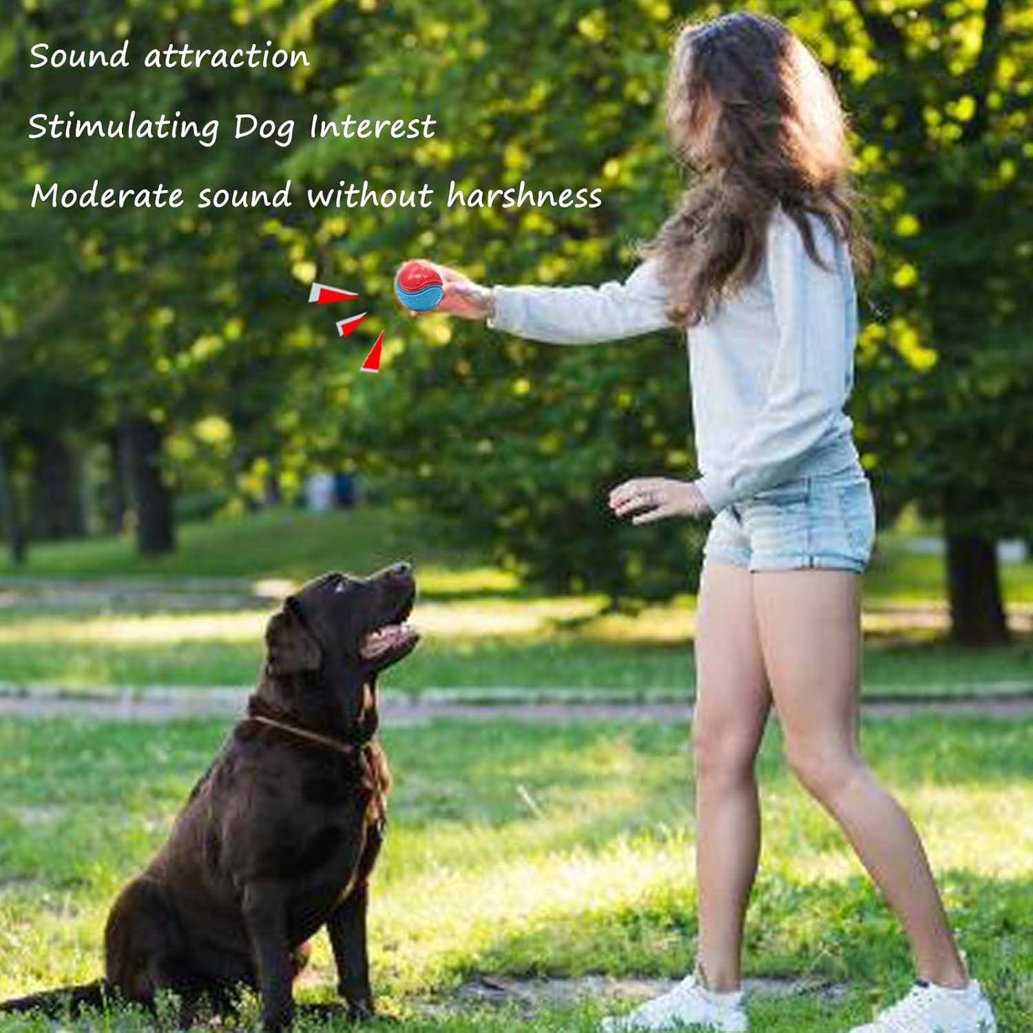 6Pcs Dog Balls, Interactive Dog Ball, Toy Dog Ball,Thrower Dog Balls Indestructible Dog Toys