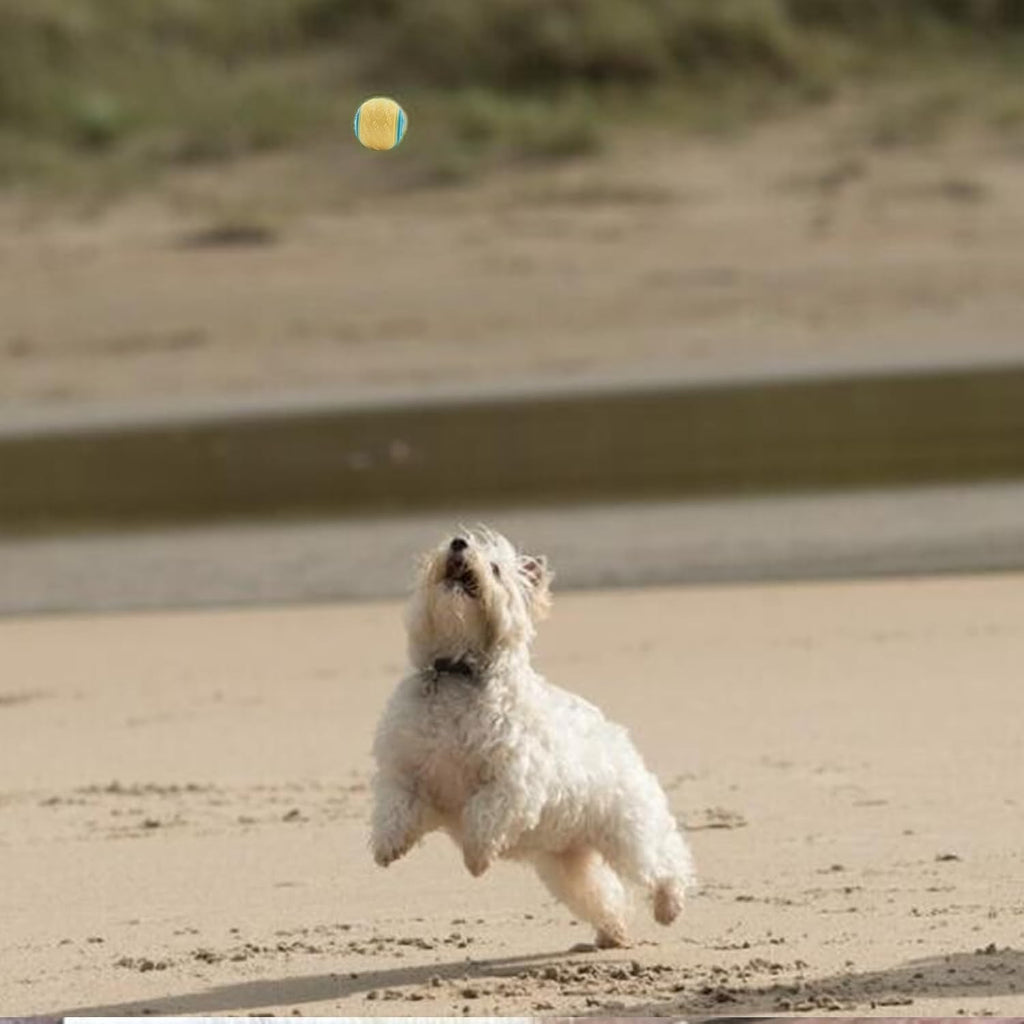 6Pcs Dog Balls, Interactive Dog Ball, Toy Dog Ball,Thrower Dog Balls Indestructible Dog Toys