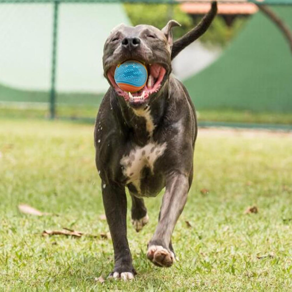 6Pcs Dog Balls, Interactive Dog Ball, Toy Dog Ball,Thrower Dog Balls Indestructible Dog Toys